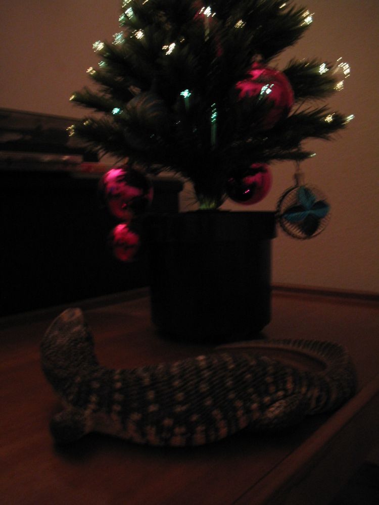 Dagon's By Her X Mas Tree