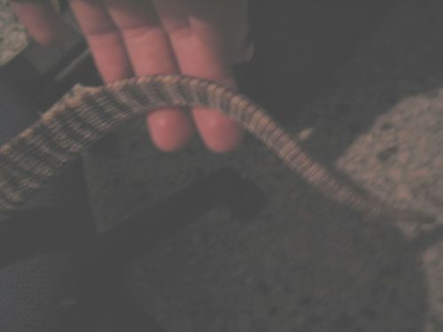 Is Dagon A Male Or Female???