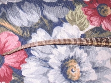 Is Dagon A Male Or Female???