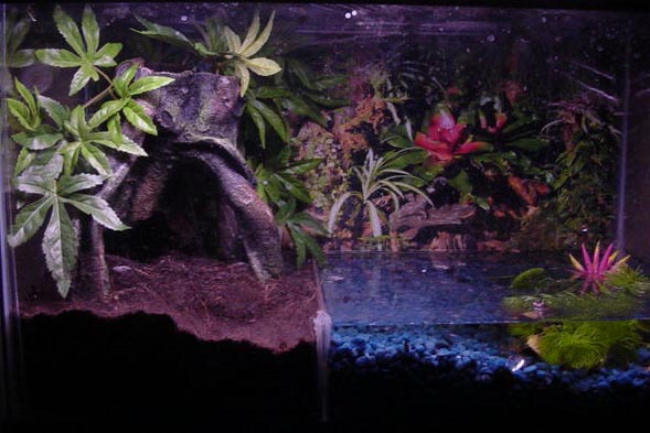 FBT Tank