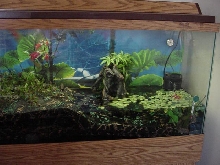Tank for FBTs