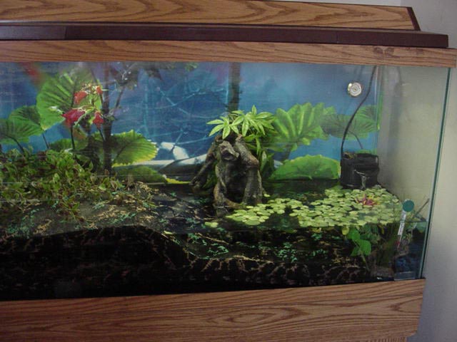 Tank for FBTs