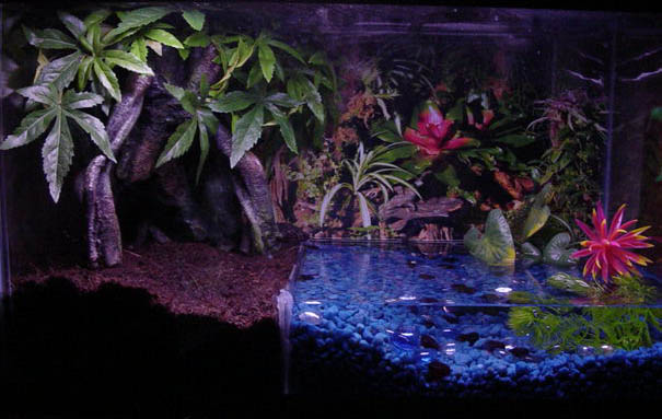 New Tank