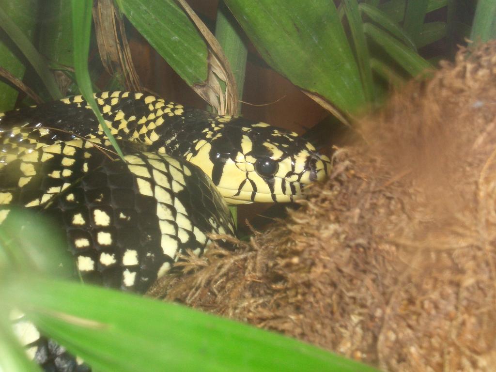 Omaha Zoo