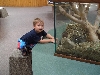 Omaha Zoo