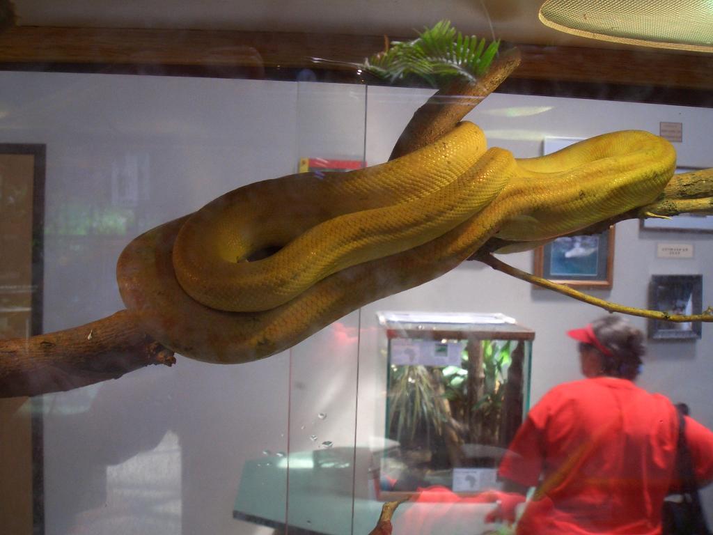 Omaha Zoo