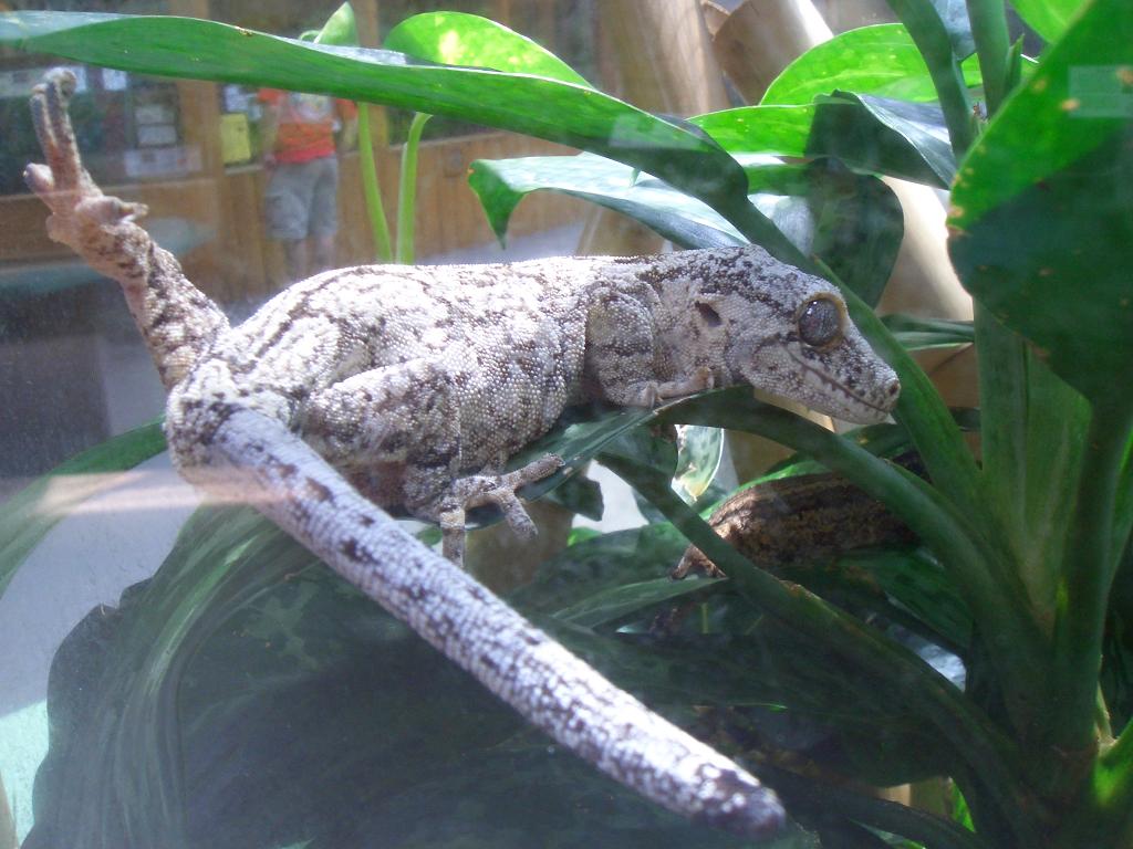 Omaha Zoo