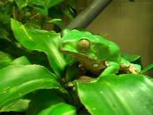 Omaha Zoo