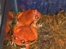 Omaha Zoo