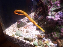 Omaha Zoo