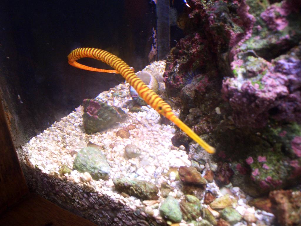 Omaha Zoo