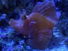 Omaha Zoo