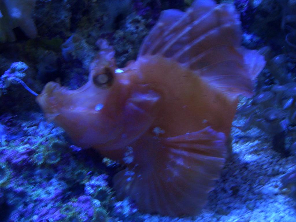 Omaha Zoo