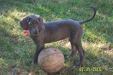 Inga and her ball