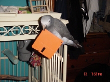 hope there was nothing on that disk