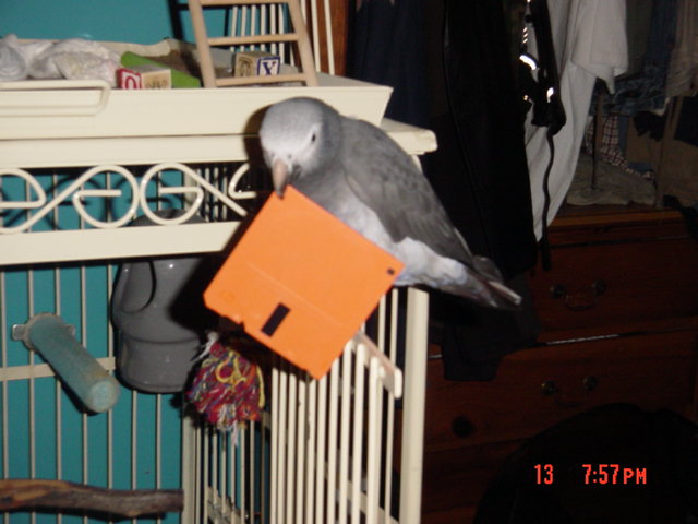 hope there was nothing on that disk