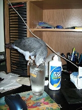 she likes my water beter
