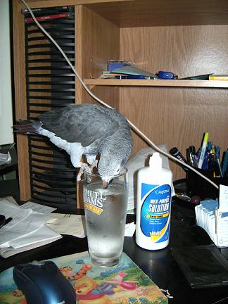 she likes my water beter