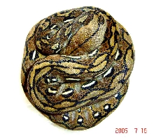SOFA2