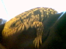 My Chacoan