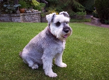 My best mate Sam