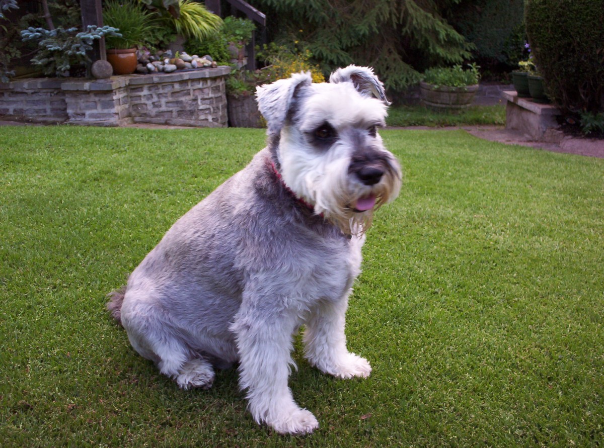 My best mate Sam