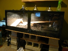 water monitor setup A
