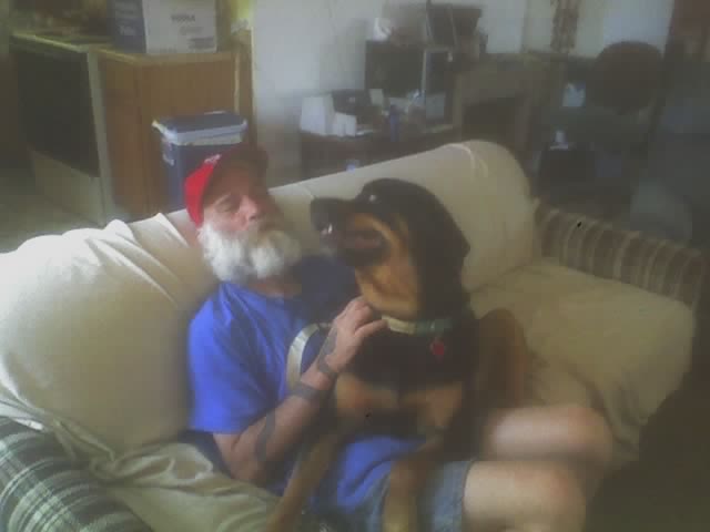 Harry the Lap Dog