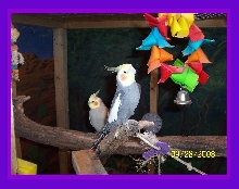 Jingles and Smokey Joe