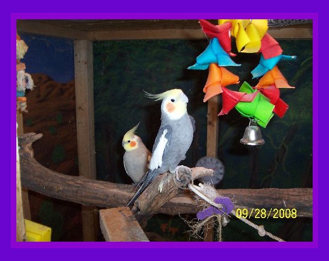 Jingles and Smokey Joe