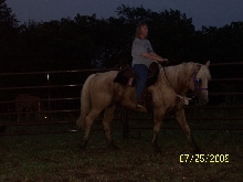 Sunny under saddle