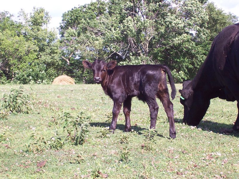 Mikey at 2 weeks