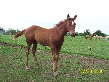 Sizzle at 3 mos