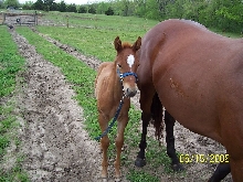 Sizzle at 2 weeks