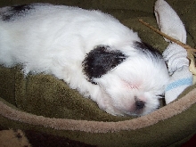Power nap