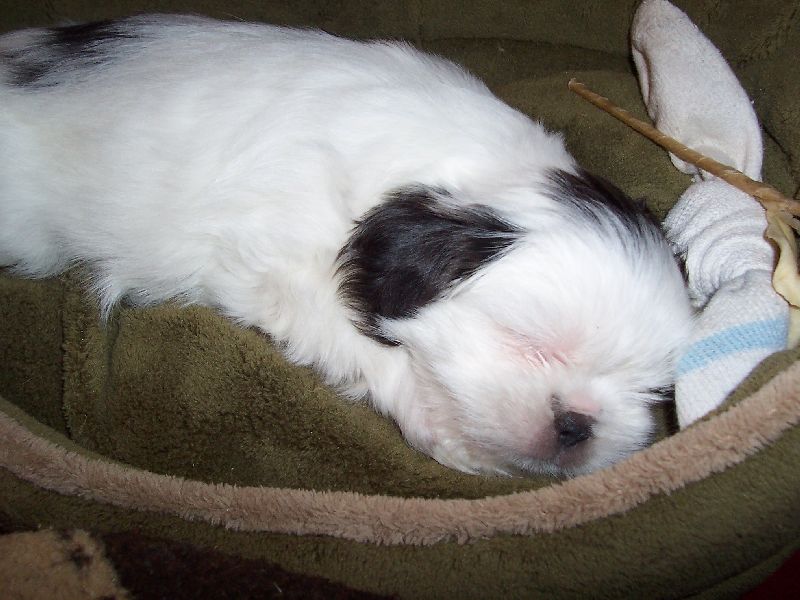 Power nap