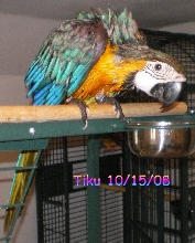 Bath day!