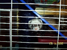Tilly