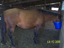 Zip's momma belly