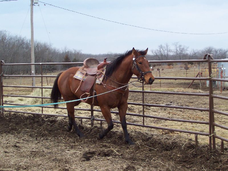 Zip accepts her reins