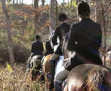 Fox hunting