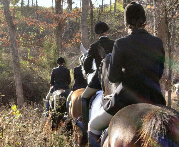 Fox hunting