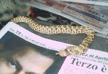 Heterodon nasicus