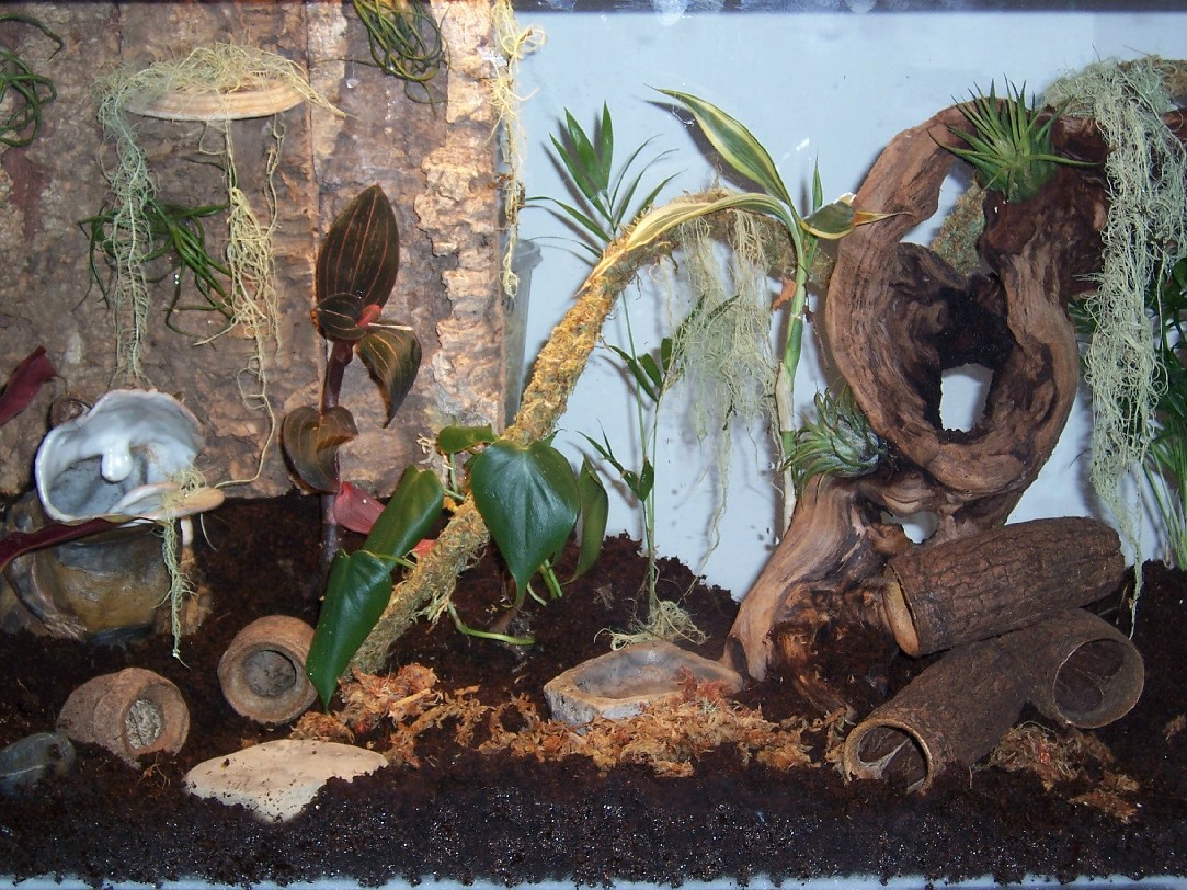 new 29 gal for leucs