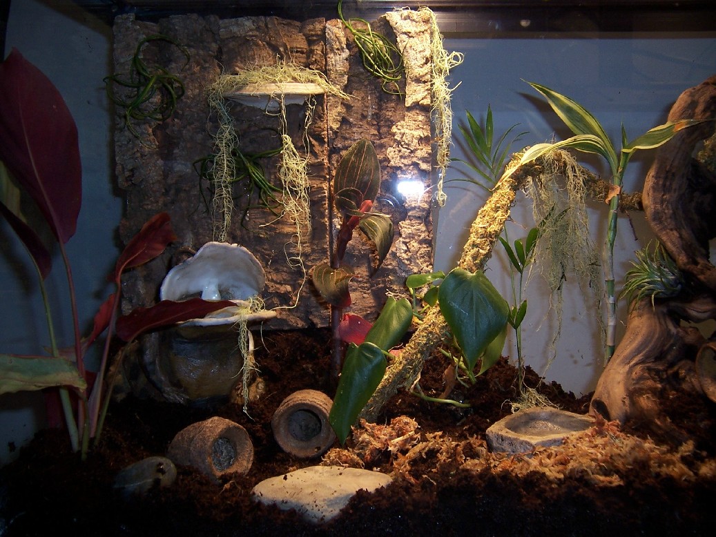 any suggestions on improvements?