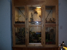 my big tank