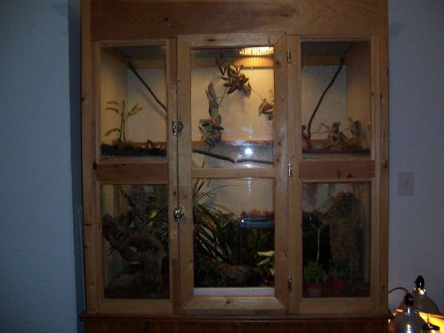 my big tank
