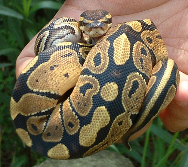 I'm ready for my close-up