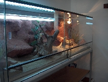 My Terra