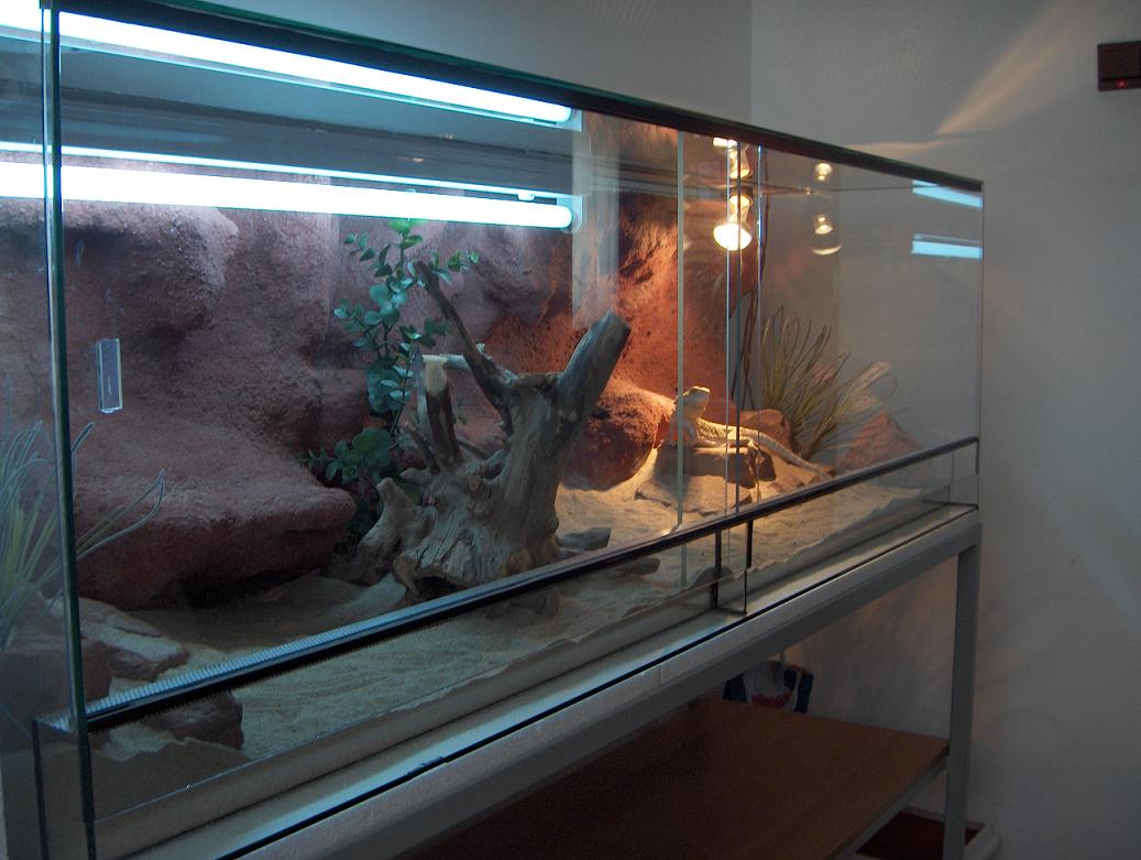 My Terra